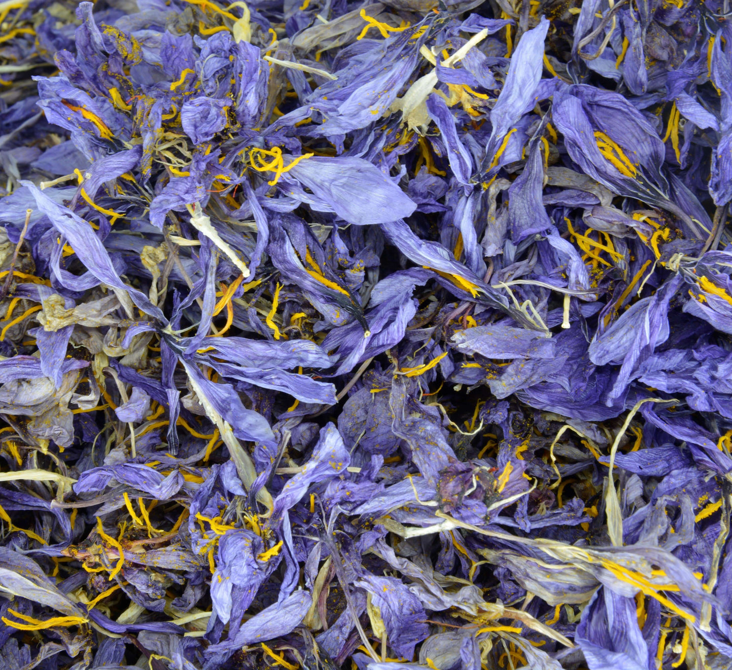 Fiori di Zafferano Essicati per Uso Alimentare e/o Decorativo