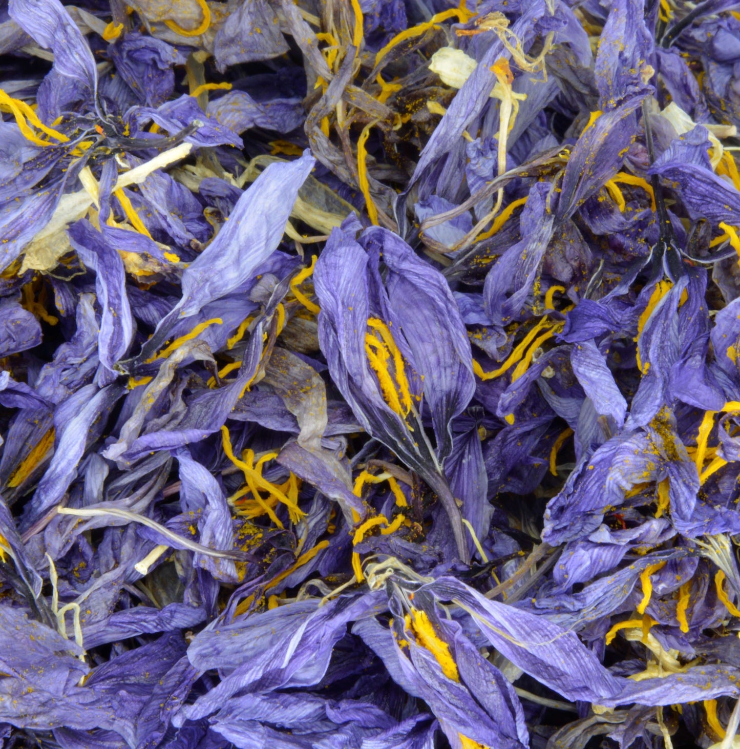 Fiori di Zafferano Essicati per Uso Alimentare e/o Decorativo