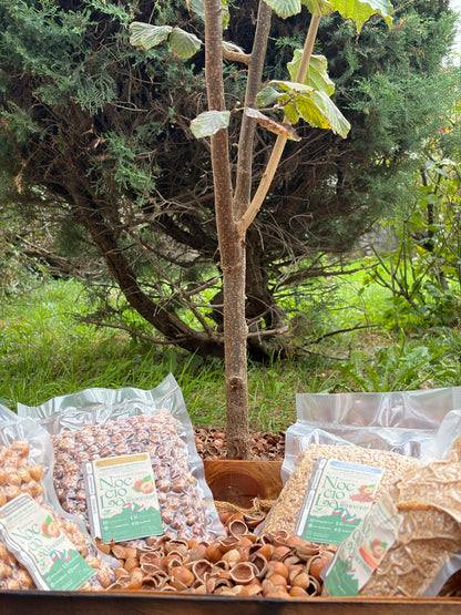 Kit Degustazione "Nocciola del Monviso"®