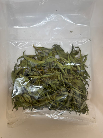 Refill Stevia Rebaudiana 20g