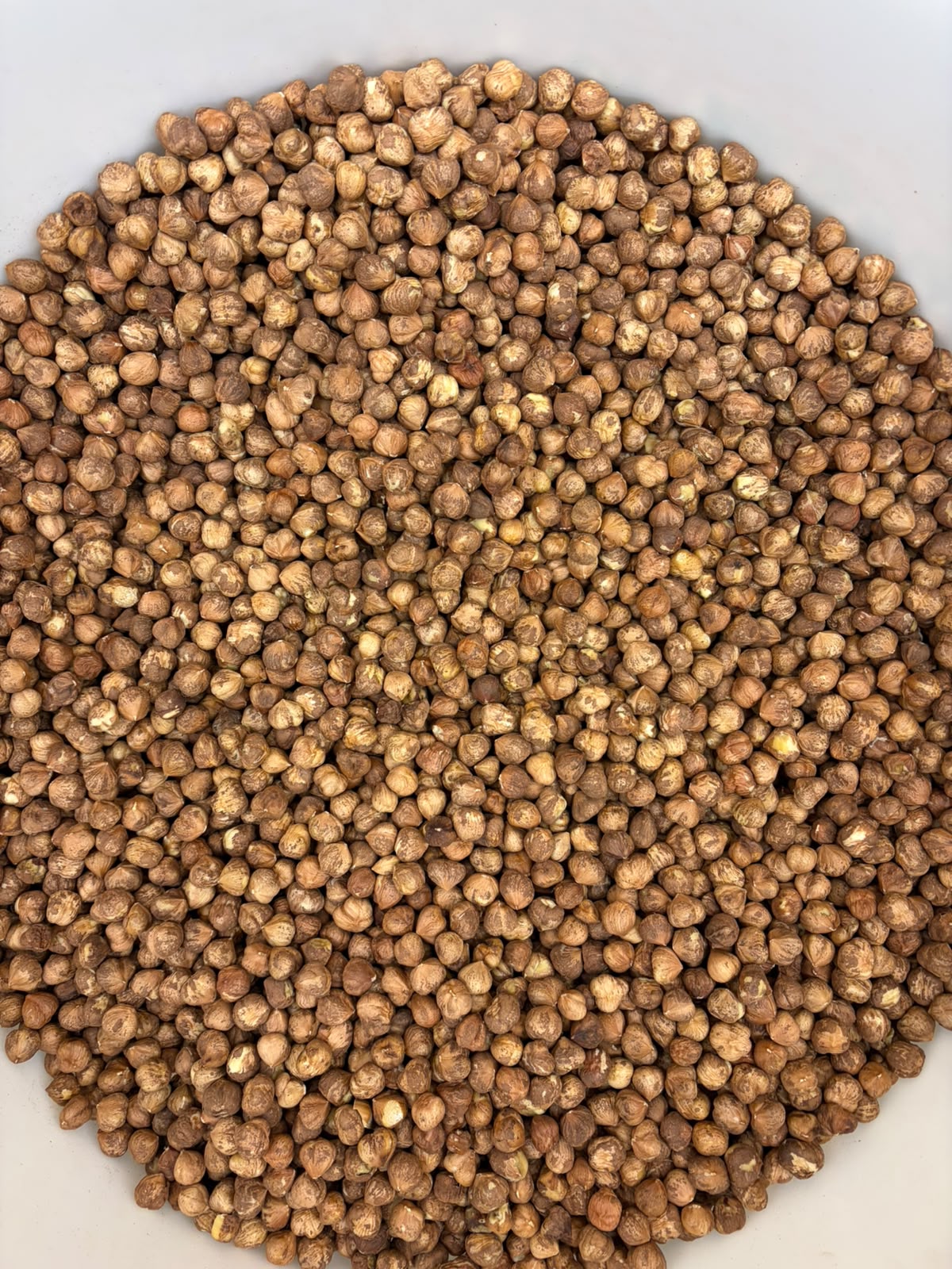 "Nocciola del Monviso"® SGUSCIATA CRUDA SFUSA | Azienda Bio Agri-Geuna®