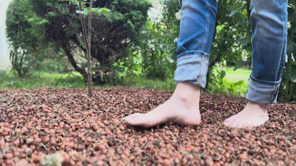 Gusci Naturali Agri-Geuna®: Materia Pura per Design, Benessere e Cura del Verde